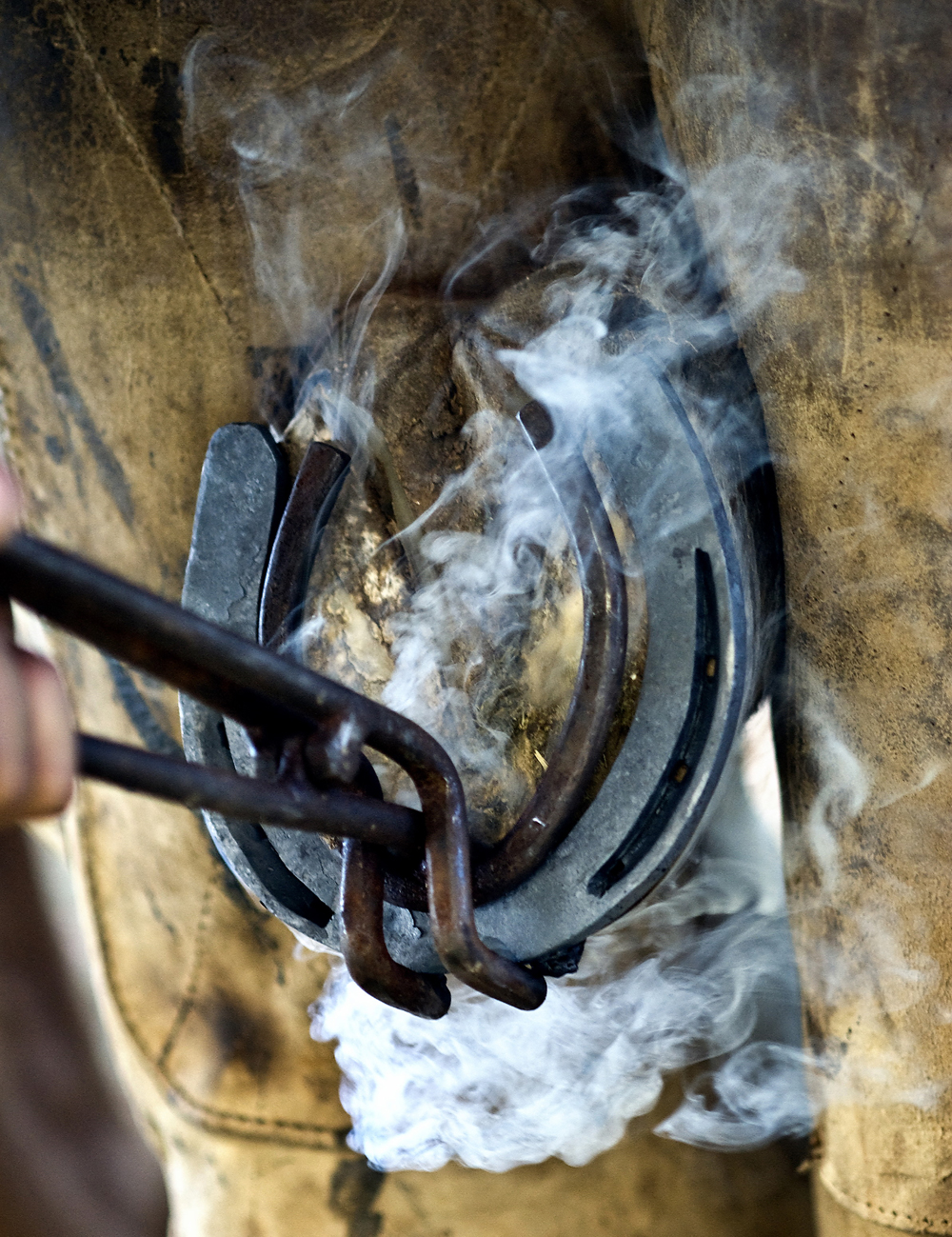 Help Your Horse Handle Hot-Shoeing
