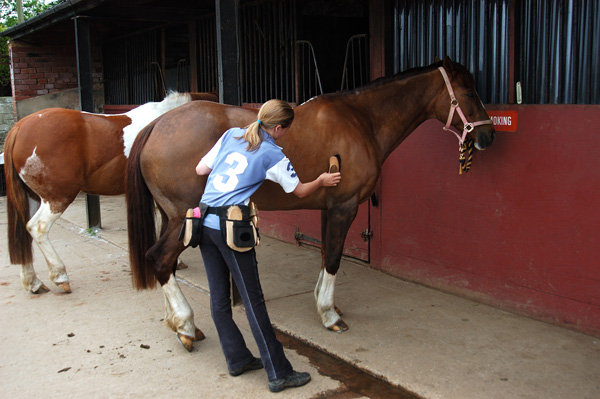 Helping the Helpers: What You Need to Know Before You Volunteer at a Horse Rescue