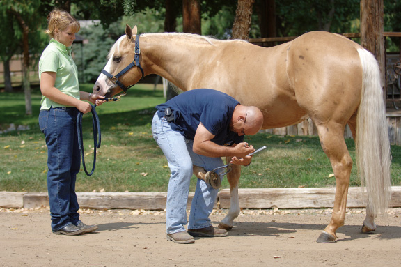 5 Ways to be a Horseman Now