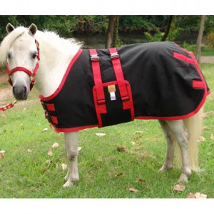 Saying Goodbye to Your Horses’ Winter Blankets
