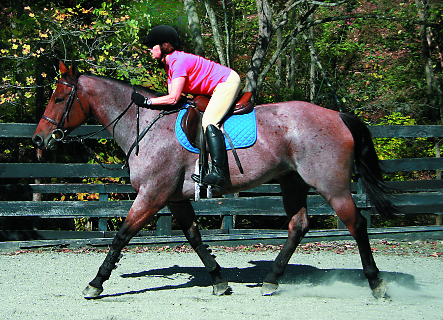 Horse Journal OnCall: Slipping In Stirrups