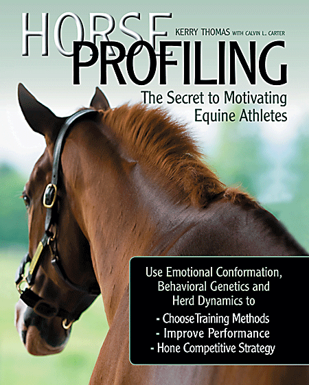Horse Profiling: The Secret to Motivating Equine Athletes