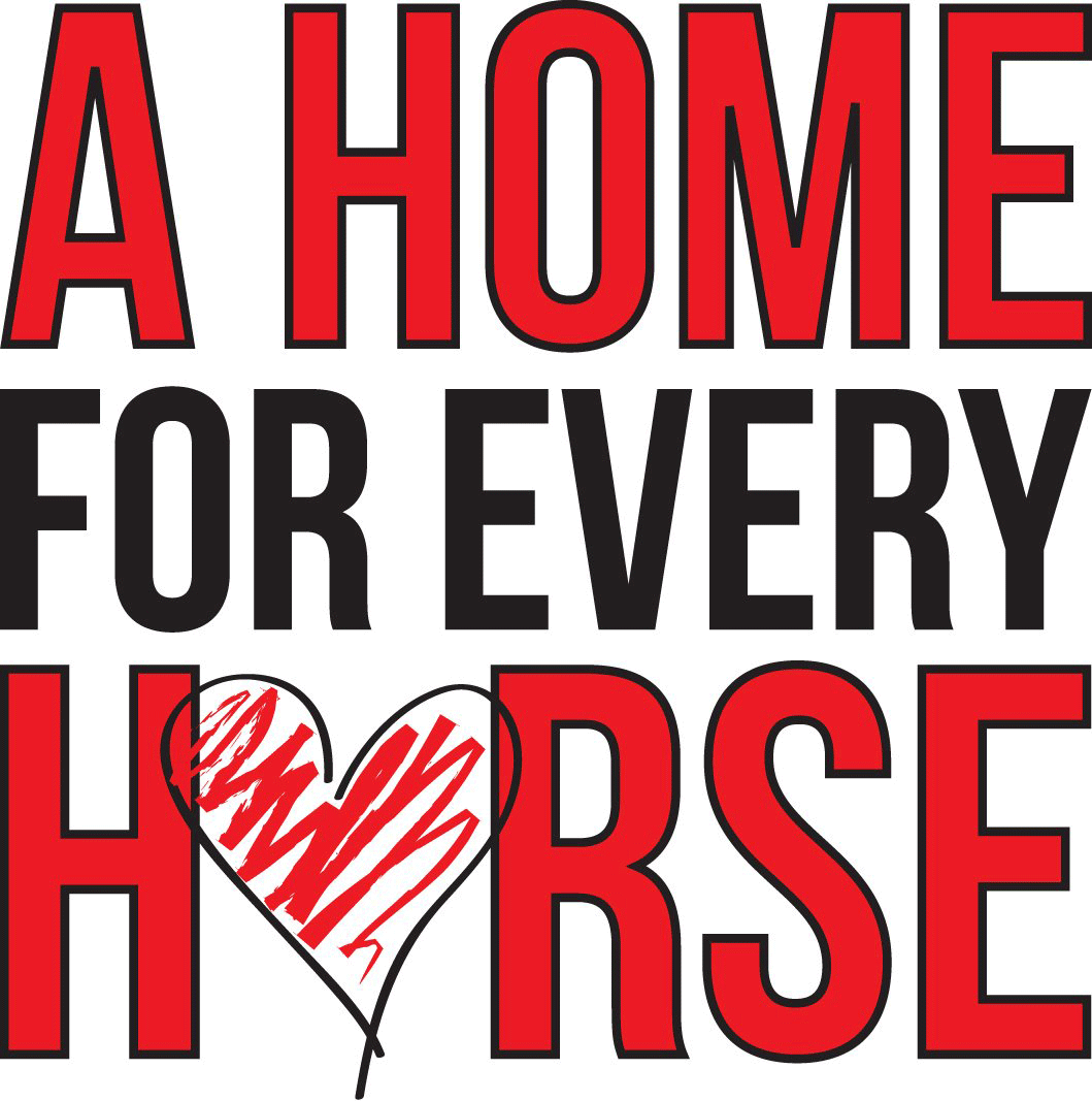 Horse Rescue Groups Need Help