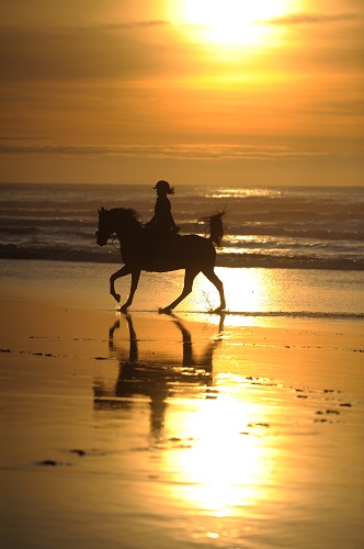 Beach Horseback Riding Tips