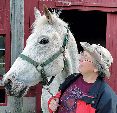 Hospice For Horses