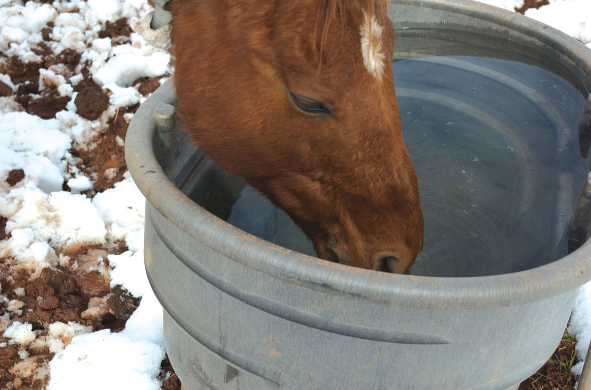 How do I keep my horse hydrated during the winter?