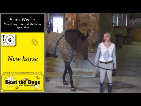 How Safe is Your Horse’s Barn?