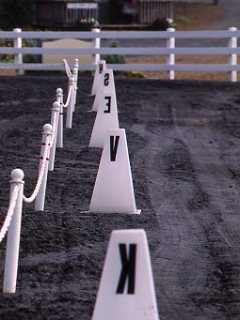 How to Become a Dressage Judge