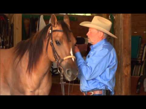 How to Properly Fit and Adjust a Snaffle Bit