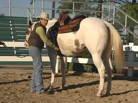 How to put a Western Saddle on a Horse