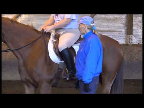 How to Safely Adjust Stirrups and Girth While Mounted in English Tack