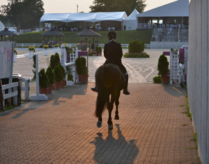 How to Win Dressage Test Points with Accuracy