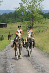 Teamwork Key for the 2009 Old Dominion Endurance Rides