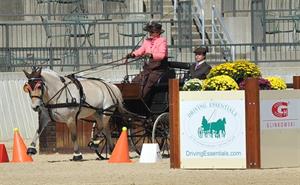 Berndl and Whaley Earn USEF Pony Driving National Championship Titles