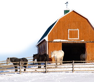 Keep your barn well ventilated this winter