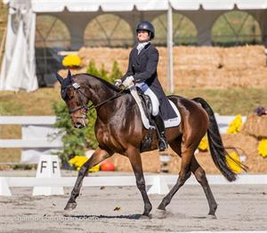 Brannigan and Martin Lead 2013 National Championship Fields after Dressage at Fair Hill International