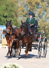 U.S. Pony Drivers Land in Top 12 after First Day of 2013 FEI Pony World Driving Championships