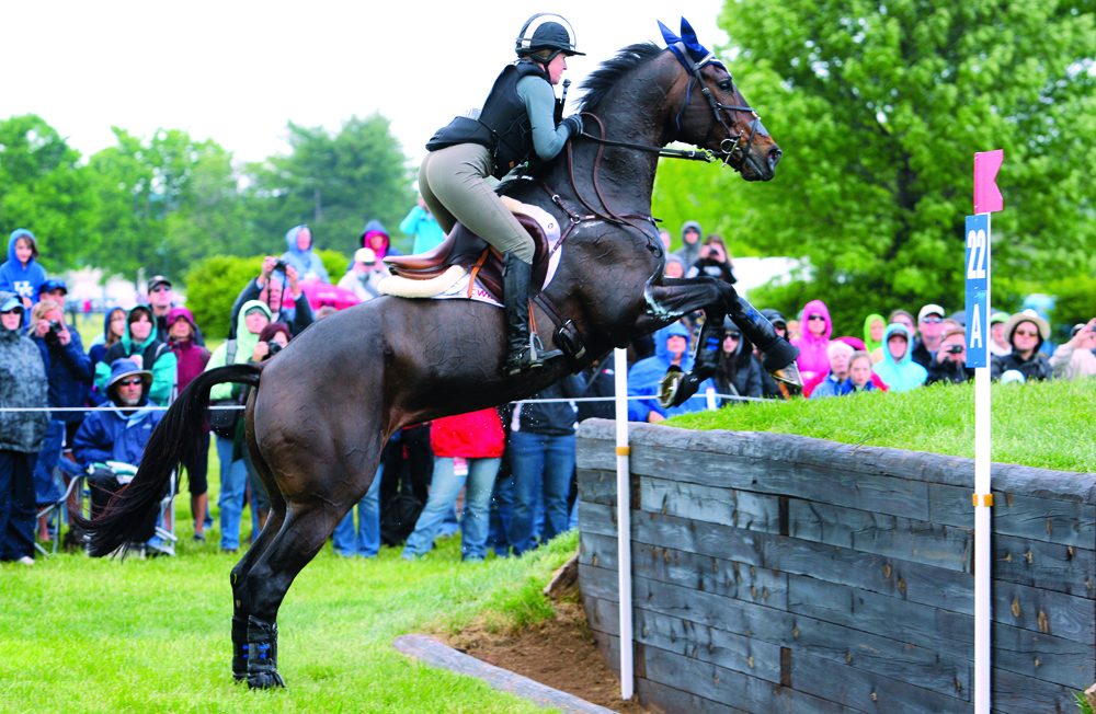 Jim Wofford: Cross-Country vs. Show-Jumping Form: The Same But Different.