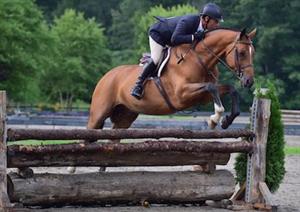 Jimmy Torano Shines with Lion Hearted in $5,000 Hunter Derby at Vermont Summer Festival