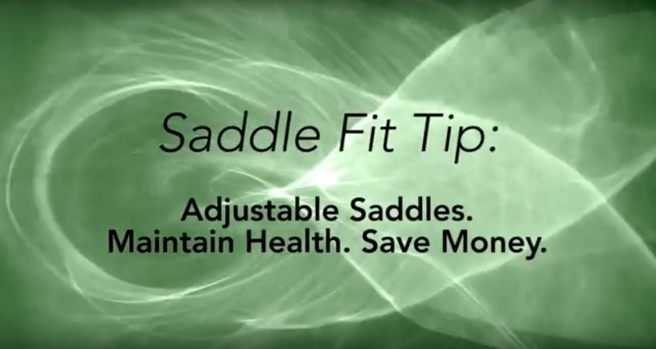 Jochen Schleese Saddle Fitting Tip – Adjustable Saddles. Maintain Health. Save Money.