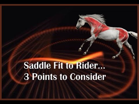 Jochen Schleese Saddle Fitting Tip – “As long as my saddle fits my horse” – Saddle Fit to Rider – 3 Factors for Consideration
