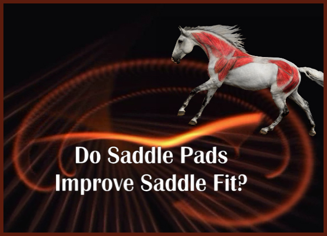 Jochen Schleese Saddle Fitting Tip – Do Saddle Pads Improve Saddle Fit?