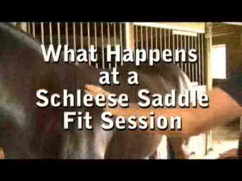 Jochen Schleese Saddle Fitting Tip – Dynamic Saddle Fit Evaluation tells the whole story!