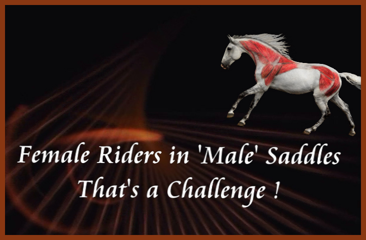 Jochen Schleese Saddle Fitting Tip – Female Riders in ‘male’ saddles. That’s a challenge.