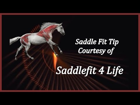 Jochen Schleese Saddle Fitting Tip – How does Muscular Development Affect the Fit of the Saddle AND your Horse’s Behavior?