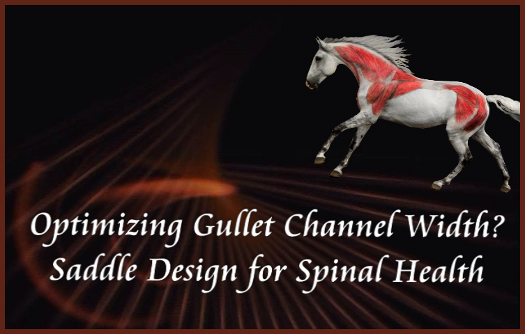 Jochen Schleese Saddle Fitting Tip – Saddle design for spinal health
