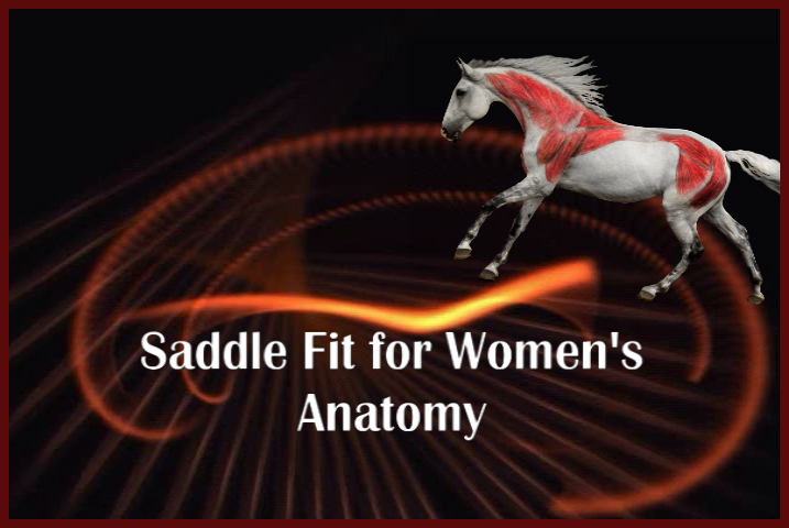 Jochen Schleese Saddle Fitting Tip – Saddle Fit for Women