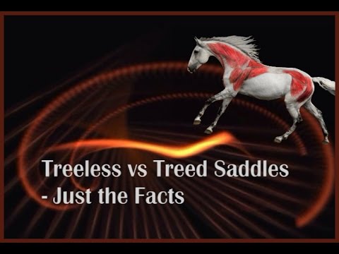Jochen Schleese Saddle Fitting Tip: Treed vs. Treeless? Just the Facts.
