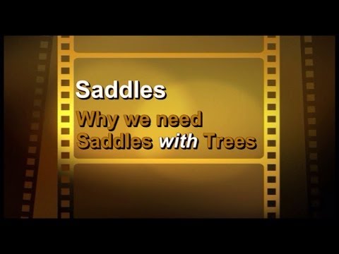 Jochen Schleese Saddle Fitting Tip – Why we need Saddles with Trees