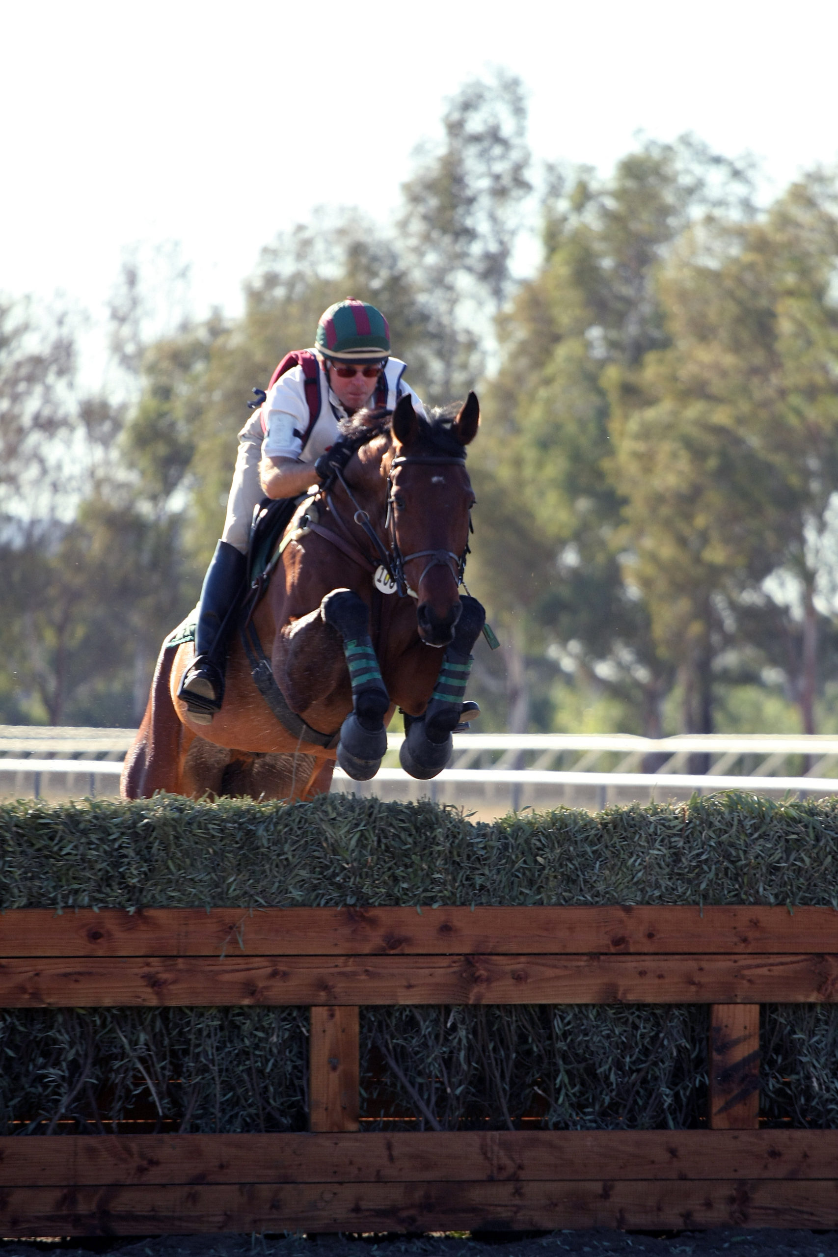Judge?s Ruling In Eventing Lawsuit Affirms Personal Responsibility