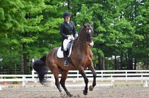 The Dressage Foundation Announces Krystal Wilt as Recipient of the Inaugural Karen Skvarla Fund Grant for Young Professionals