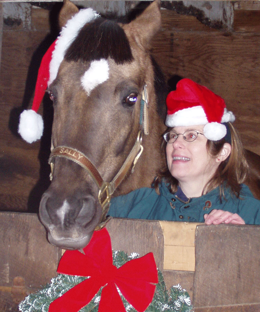 Last Days of Christmas Shopping – Support Your Local Tack Store