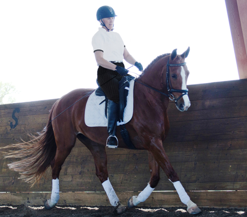 Lilo Fore: 10 Tips for Dressage Training