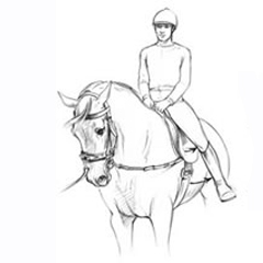 Longeing and the Seat: A Dressage Primer