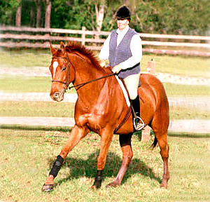Louise Serio: Improving Your Horse’s Jumping