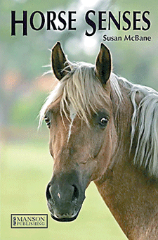 Media Critique: Horse Senses