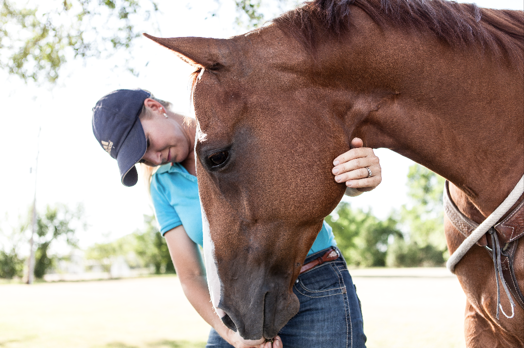 Fall Health Tune Up – Strengthening Your Horse’s Immune System