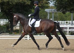 Riders Ready for 2013 Markel/USEF Young & Developing Horse Dressage National Championships