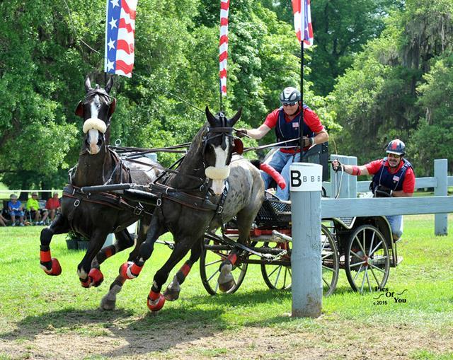 Morgan, Cross, Schneider, and Zubek Maintain Lead after Competitive Marathon Phase at USEF Driving National Championships