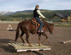 Bombproof Your Horse the Mounted Patrol Training Way with Horse Desensitization