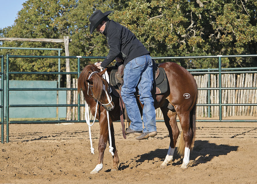 Mounting a Colt for the First Time