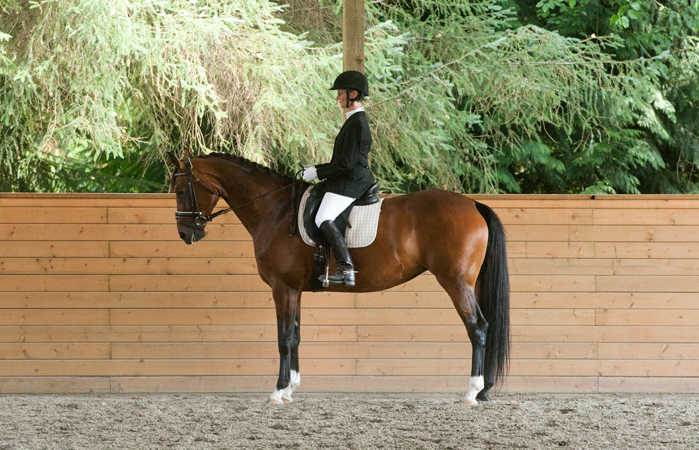 Move with Your Horse During Transitions