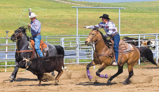 New Economics of Team Roping for a Living