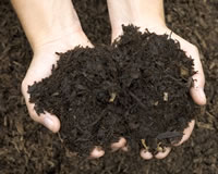 Manure Becomes Money for Sweet Peet Mulch