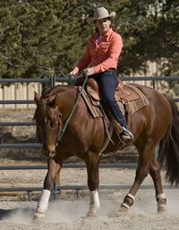 Anderson Wins 2005 Road to the Horse