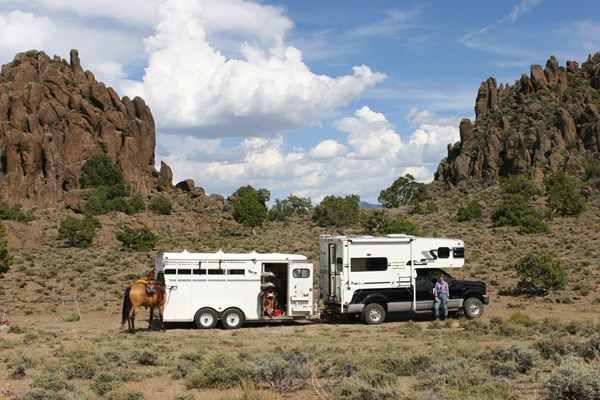 Equine Traveling Papers